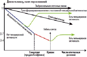 temir2.tif